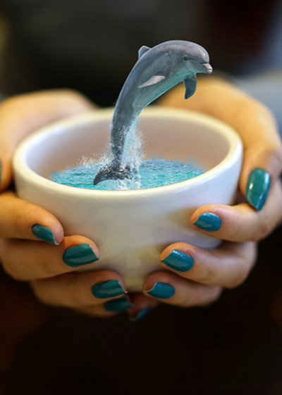 我们秉持着理念与产品知行合一的价值观